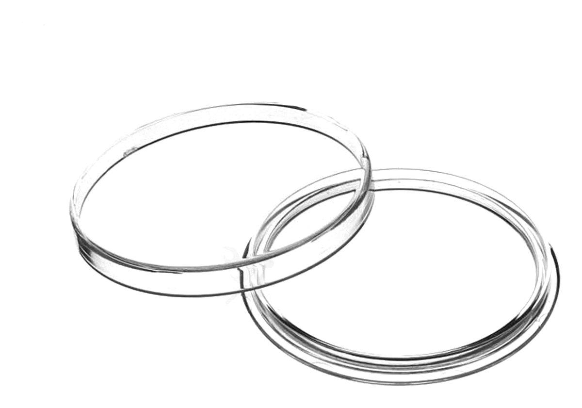 Protective coin capsules for bullion storage, illustrating safe handling and storage of precious metals