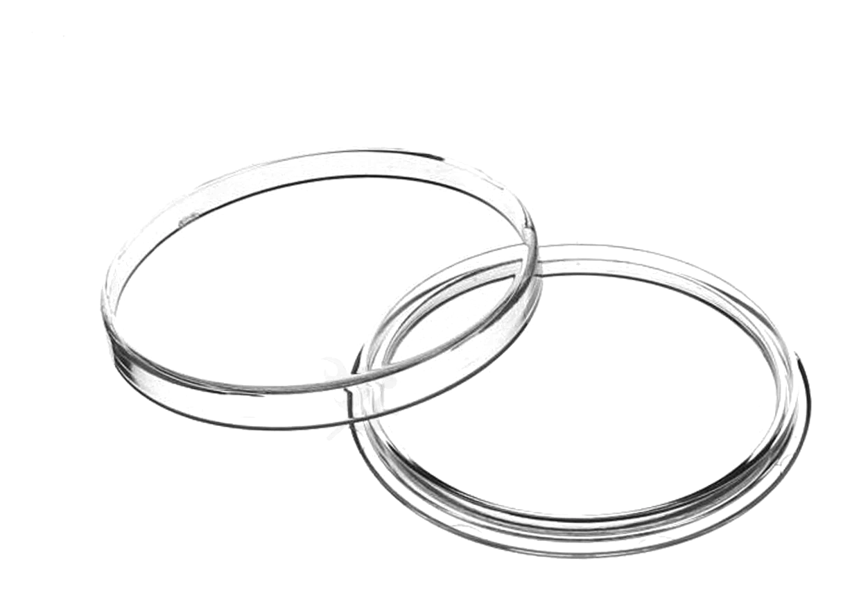 Protective coin capsules for bullion storage, illustrating safe handling and storage of precious metals