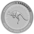 1 Troy Ounce Platinum Round .9995 Fine Platinum