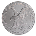 2026 1 oz American Silver Eagle Bullion Coin