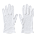 White Cotton Handling Gloves