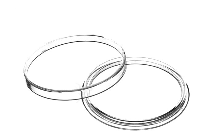 Coin Capsules